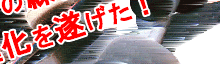 i𐋂XP[g{[h